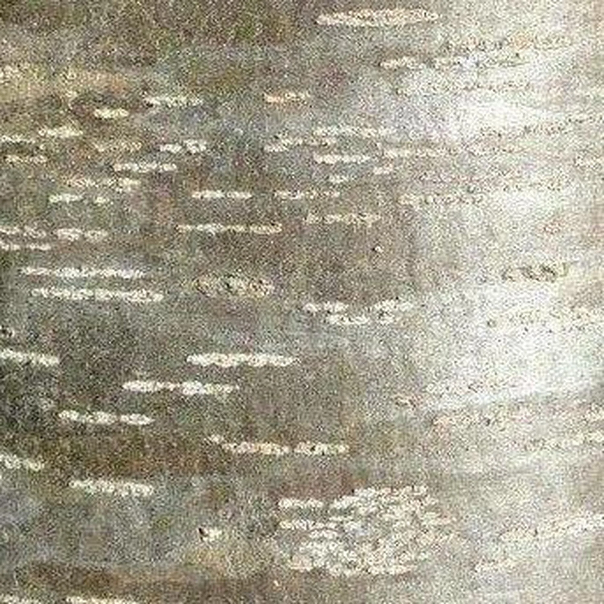 Flindersia pimenteliana (Rose Silkwood) - Ex Ground - Image 4
